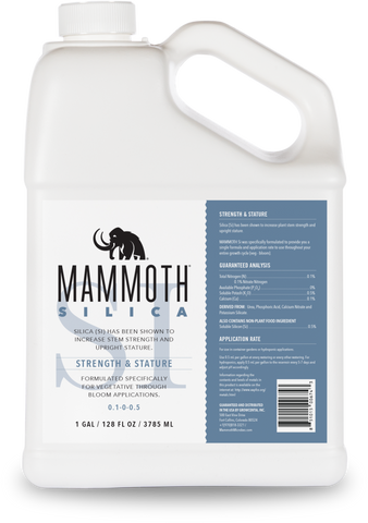 Mammoth Silica (SI) Strength & Stature
